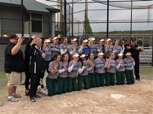 4 PEAT 
